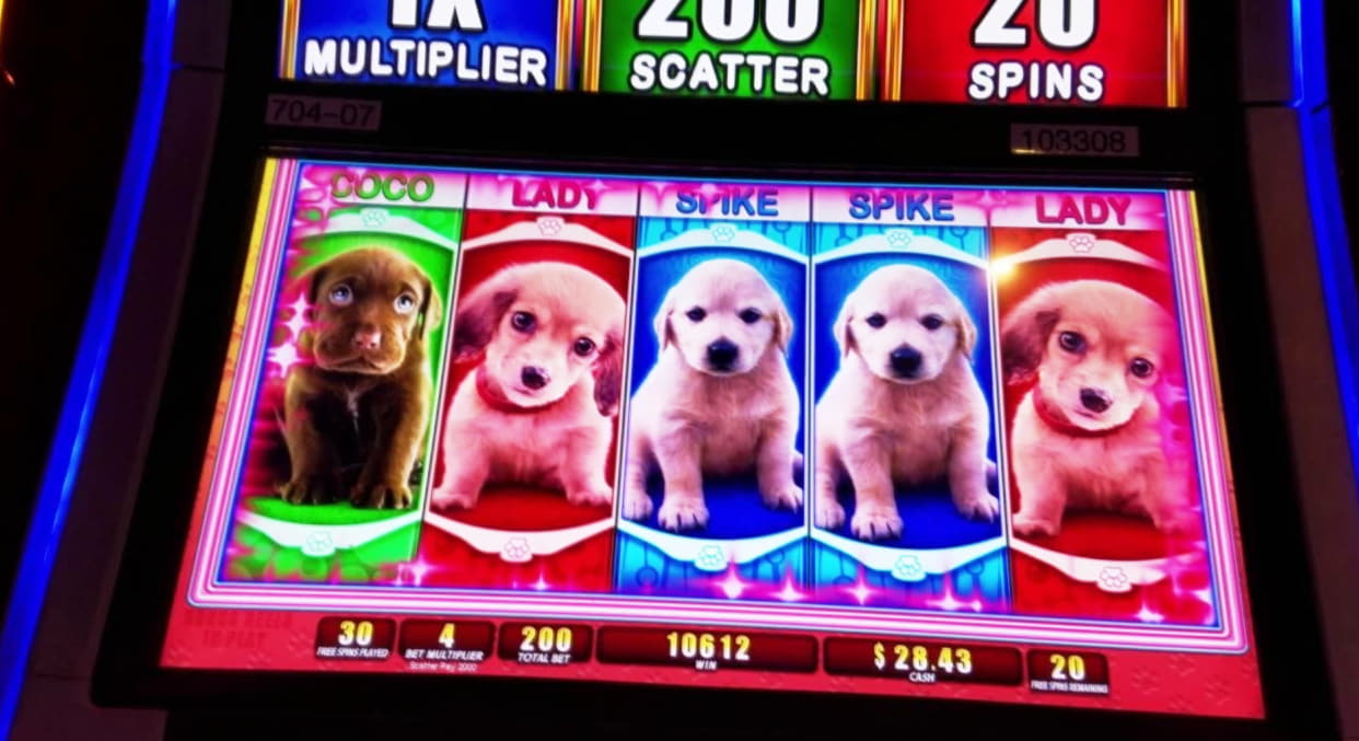 440% Match at a casino at CasiPlay Casino