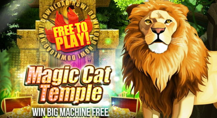 €275 Free Chip at Platinum Play Casino