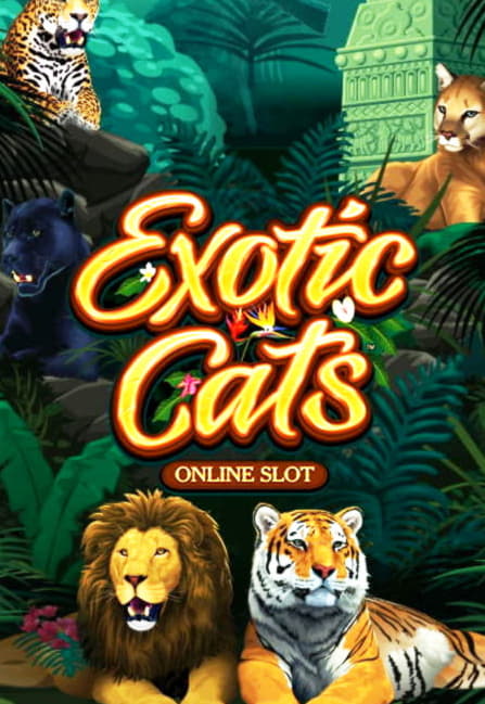 ﻿$500 Daily freeroll slot tournament at Gratorama Casino