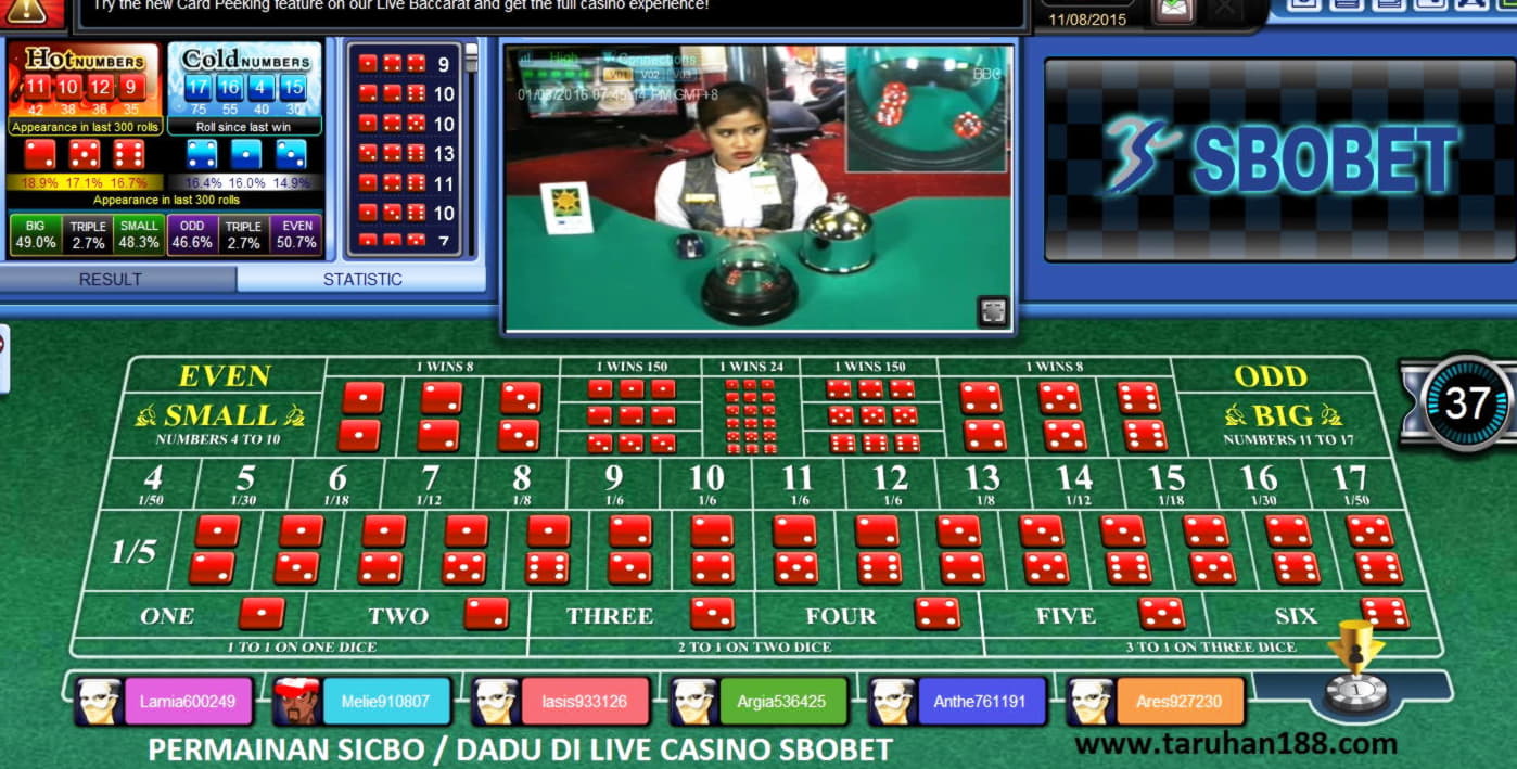 35 Free Spins at CasiPlay Casino