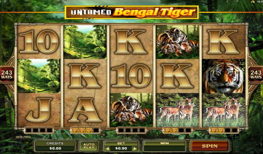 EURO 335 Free Cash at Platinum Play Casino