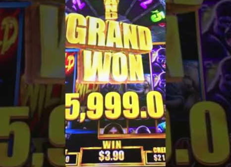 750% Match bonus casino at Casino Cruise