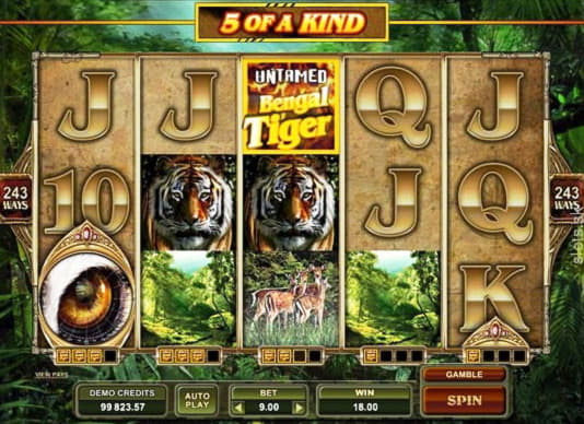 Eur 3435 No deposit at Platinum Play Casino