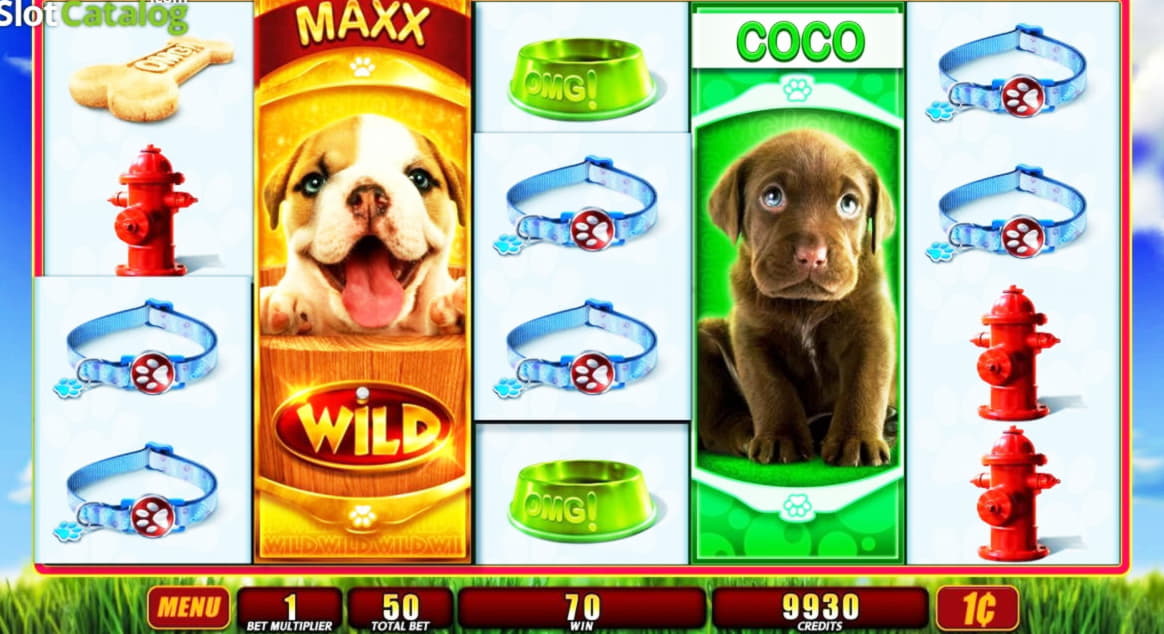155% No Rules Bonus! at Dunder Casino