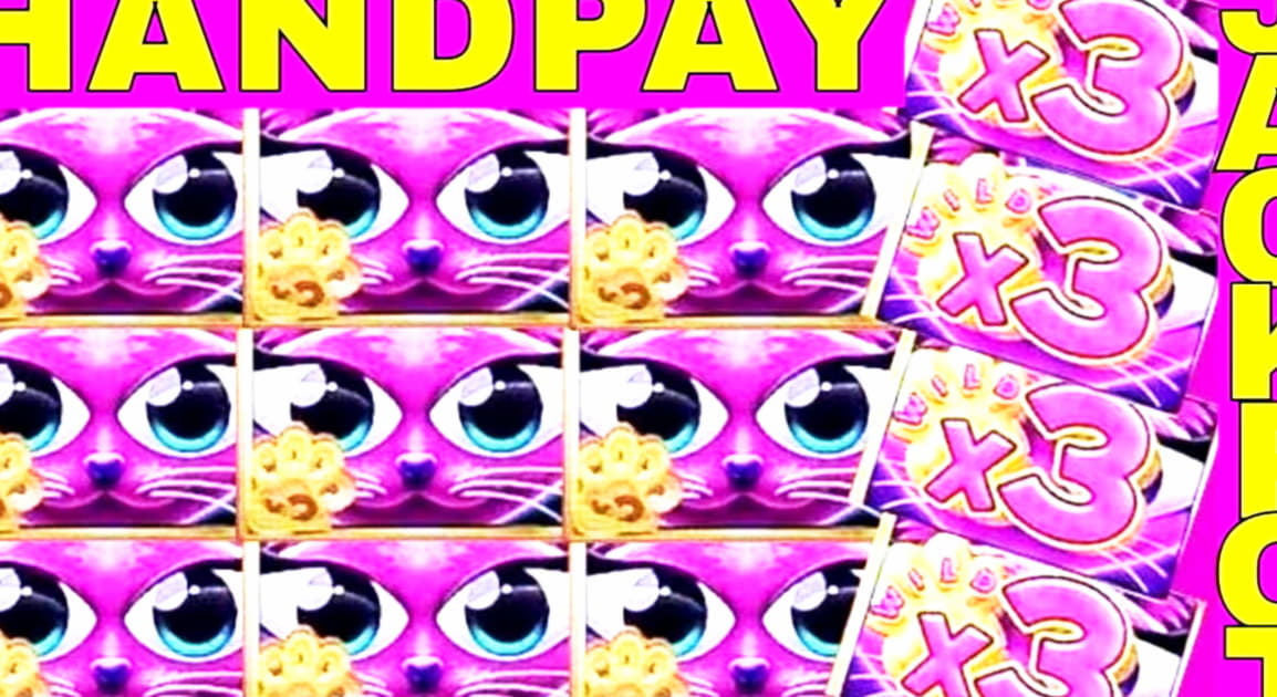 55 free spins no deposit at Wish Maker Casino