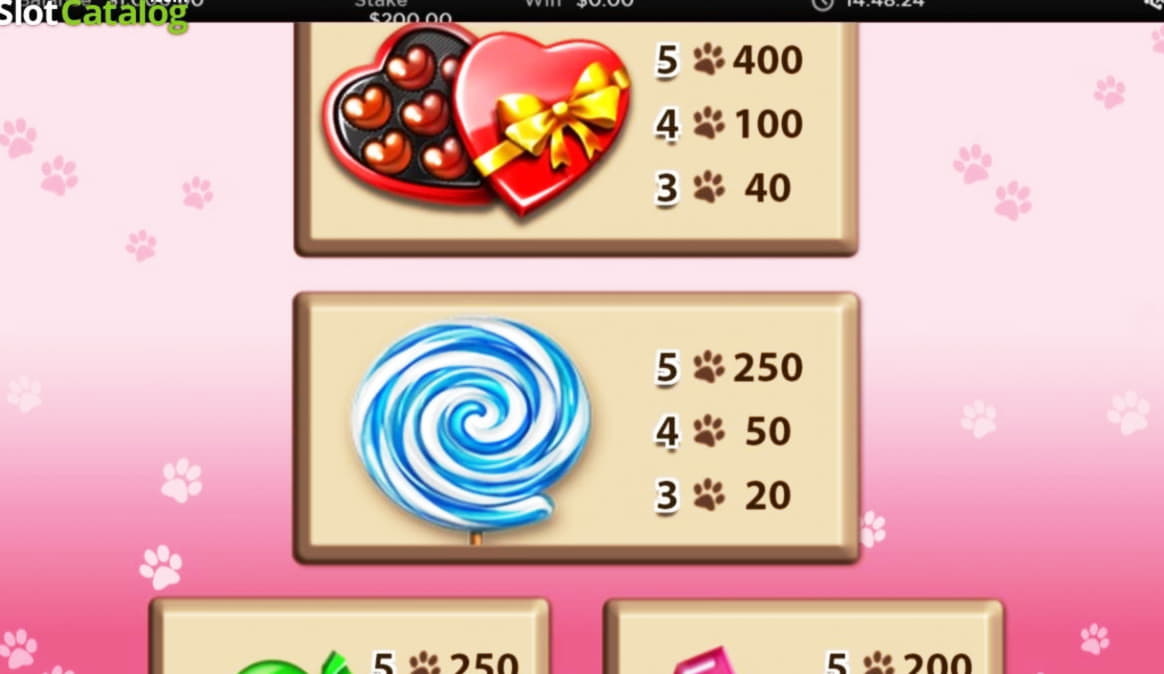 EUR 315 free casino chip at Spin Palace Casino