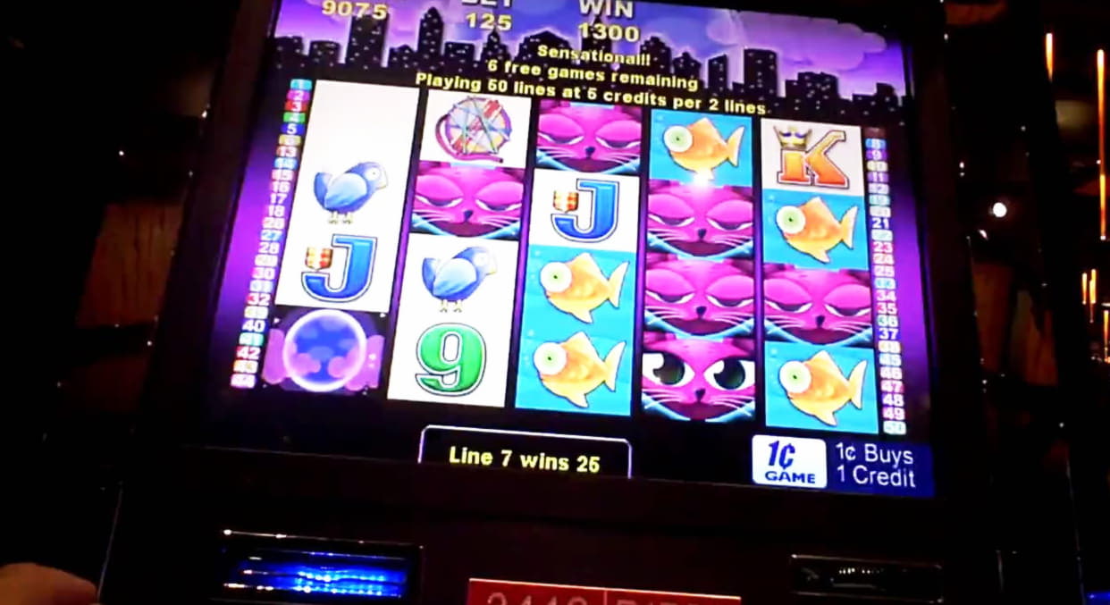 €415 Tournament at Dunder Casino