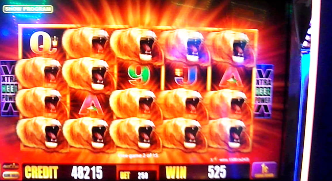 90 Loyal Free Spins! at bWin Casino