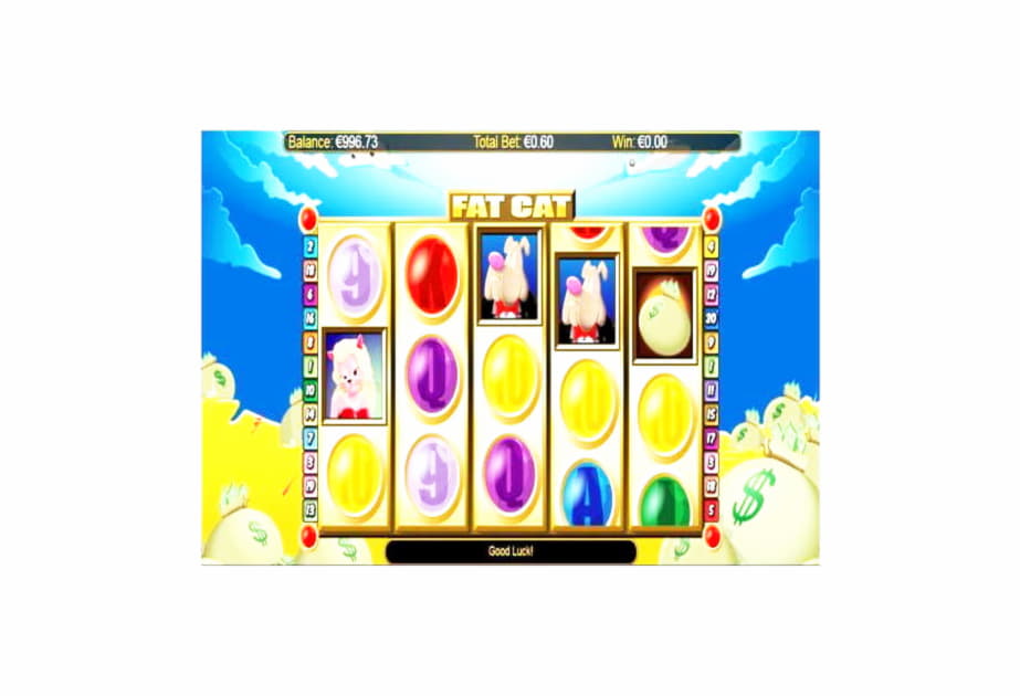$985 Casino tournaments freeroll at Spin Palace Casino