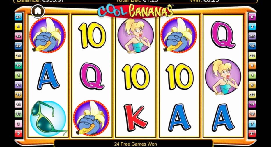 220 Free Casino Spins at CasiPlay Casino