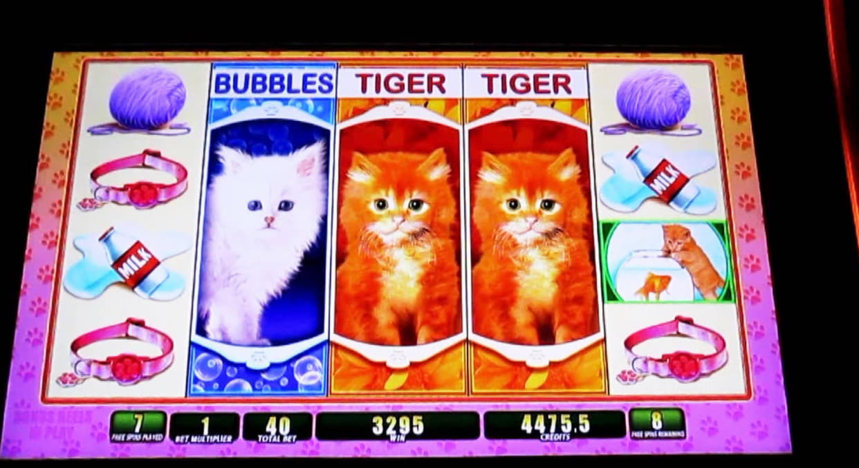 195% Best Signup Bonus Casino at Video Slots Casino
