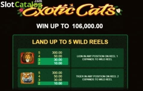 $575 Daily freeroll slot tournament at CasiPlay Casino