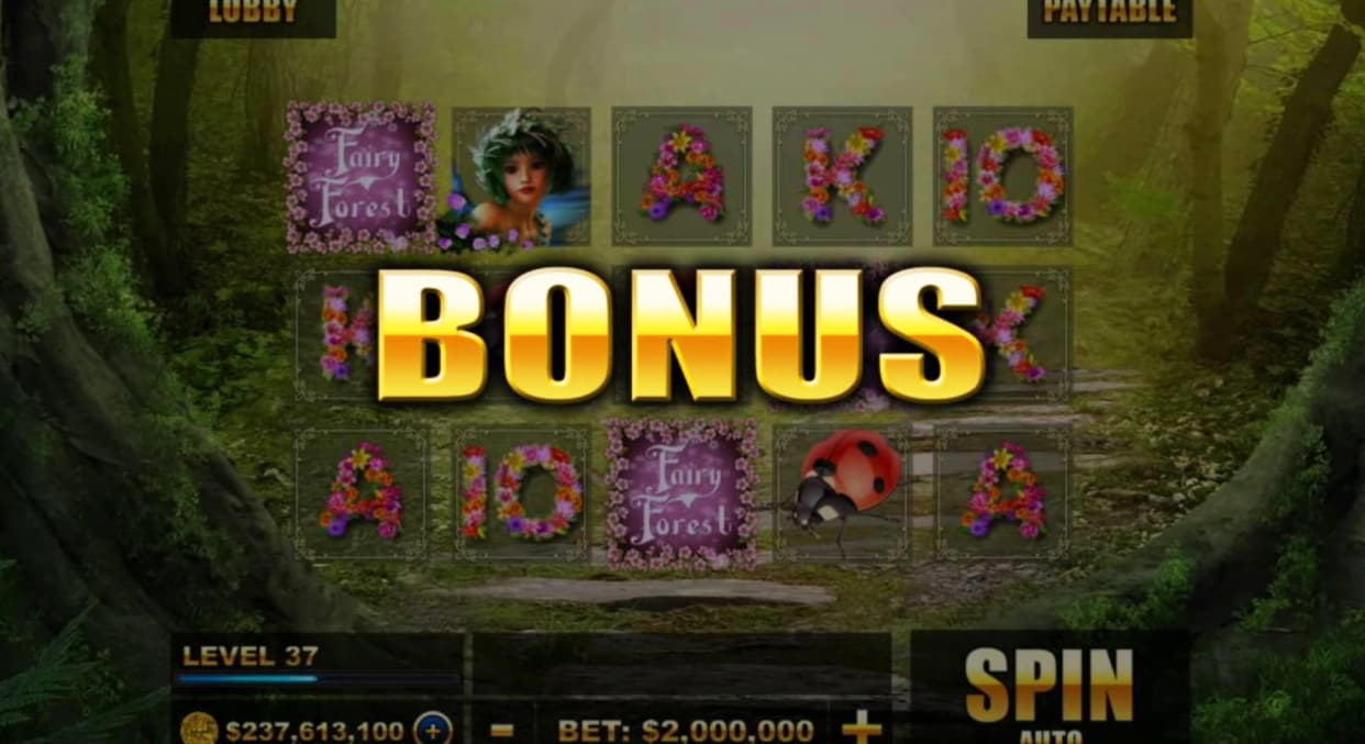480% Welcome Bonus at Casino Cruise