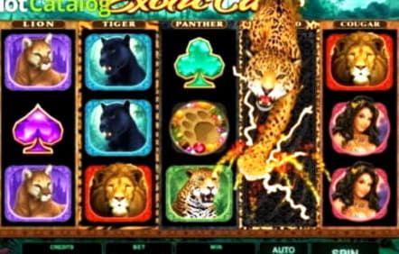 30 Free casino spins at LV Bet Casino