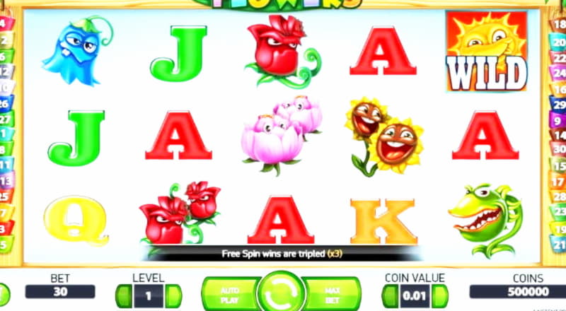 Eur 450 Free Cash at Casino Cruise