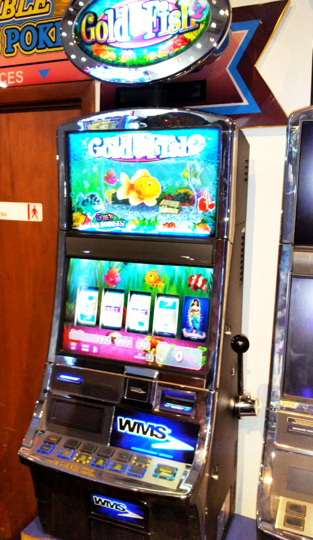 355% Signup Casino Bonus at Dunder Casino