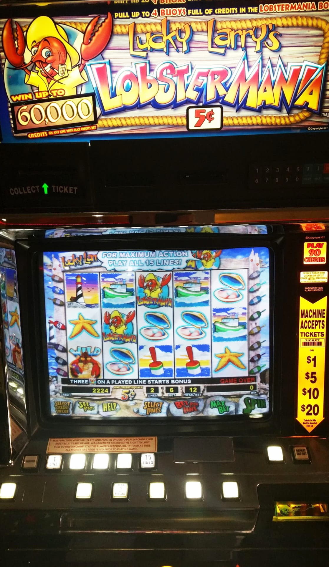 255 Free Spins no deposit at Leo Dubai Casino