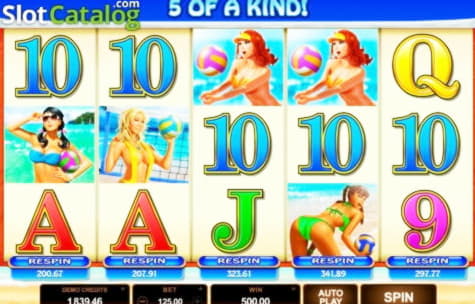 $515 Daily freeroll slot tournament at Platinum Play Casino