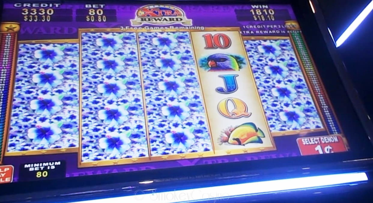 €55 Daily freeroll slot tournament at Oshi Casino