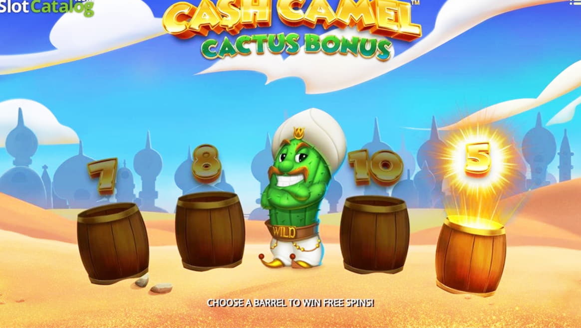 210 free spins casino at CasiPlay Casino