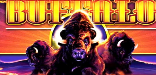 150 Loyalty Free Spins! at Jackpot City Casino