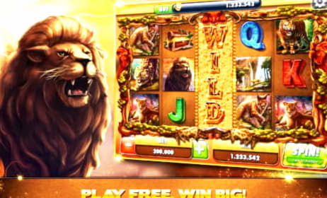 $315 Casino Chip at Spin Palace Casino