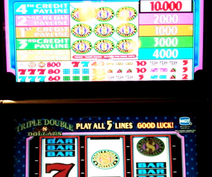 Eur 815 No deposit at Rizk Casino
