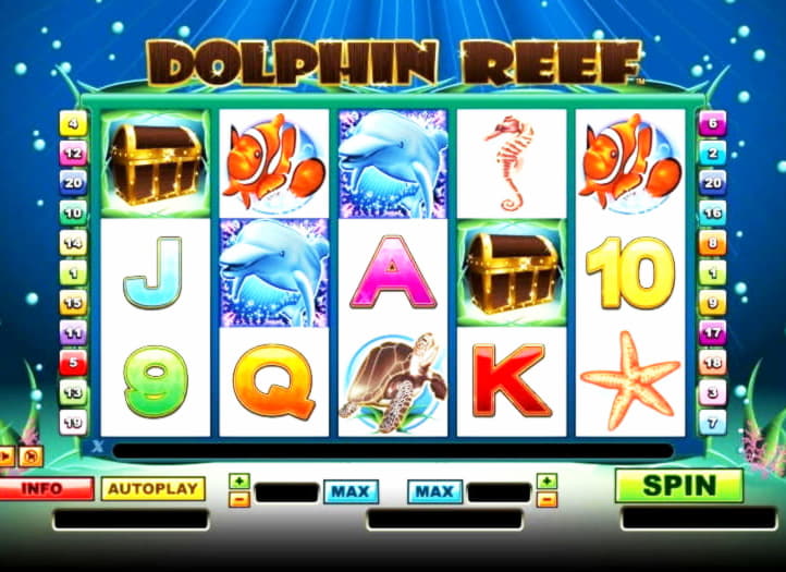 220% No Rules Bonus! at Spin Palace Casino