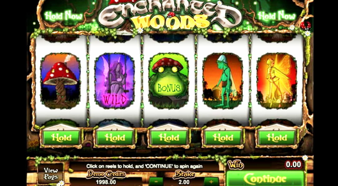 £4130 No Deposit at Slotty Dubai Casino