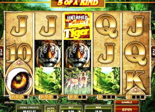 835% No Rules Bonus! at Bet Hard Casino
