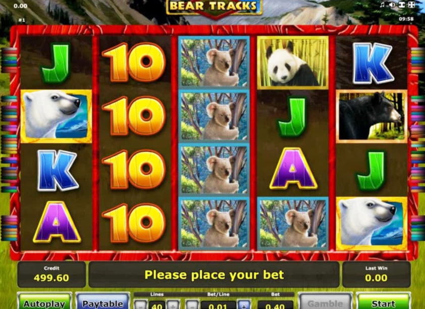 77 FREE SPINS at Platinum Play Casino