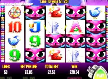 385% First deposit bonus at CasiPlay Casino