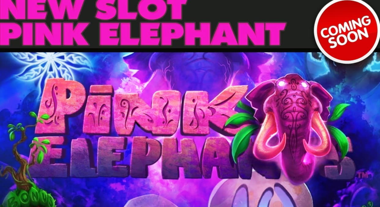 33 Free spins no deposit casino at Red Flush Casino