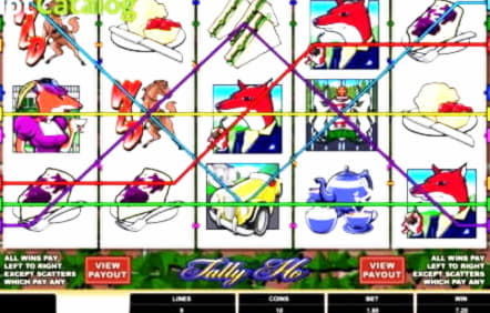 230 Free Spins no deposit casino at Rizk Casino