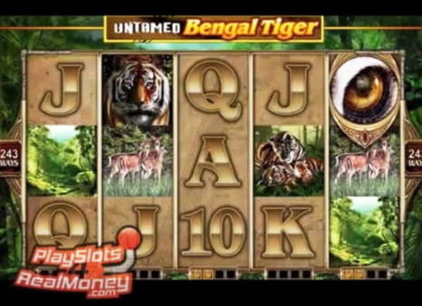 845% No Rules Bonus! at Spin Palace Casino