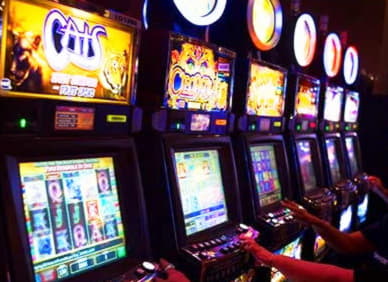205 Free Spins no deposit at Wish Maker Casino