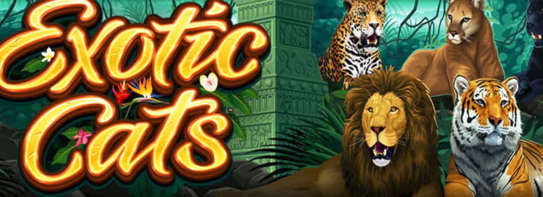 310% Match Bonus Casino at Casino-X