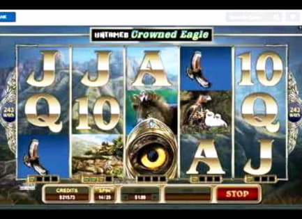 120 FREE Spins at Casino Cruise