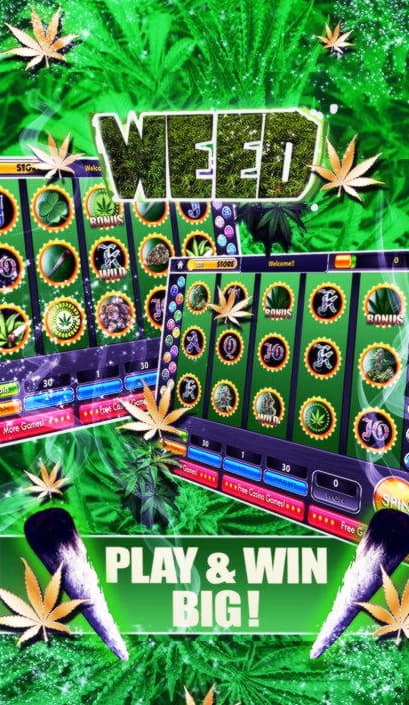 33 Free Spins at Platinum Play Casino
