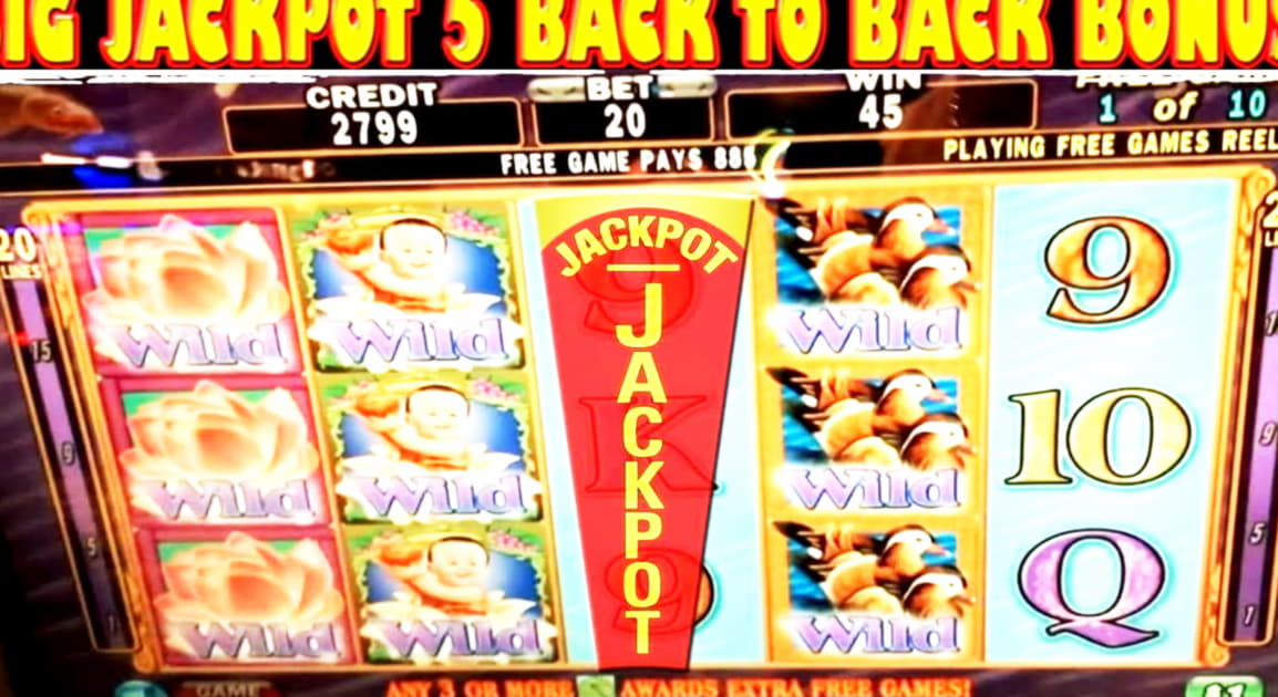 80% Signup casino bonus at Party Casino