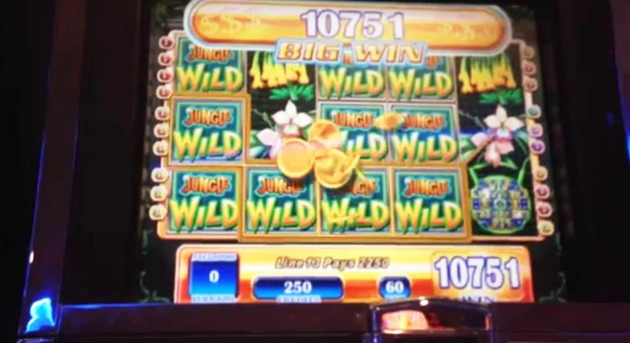 $3510 no deposit bonus casino at Slotty Dubai Casino