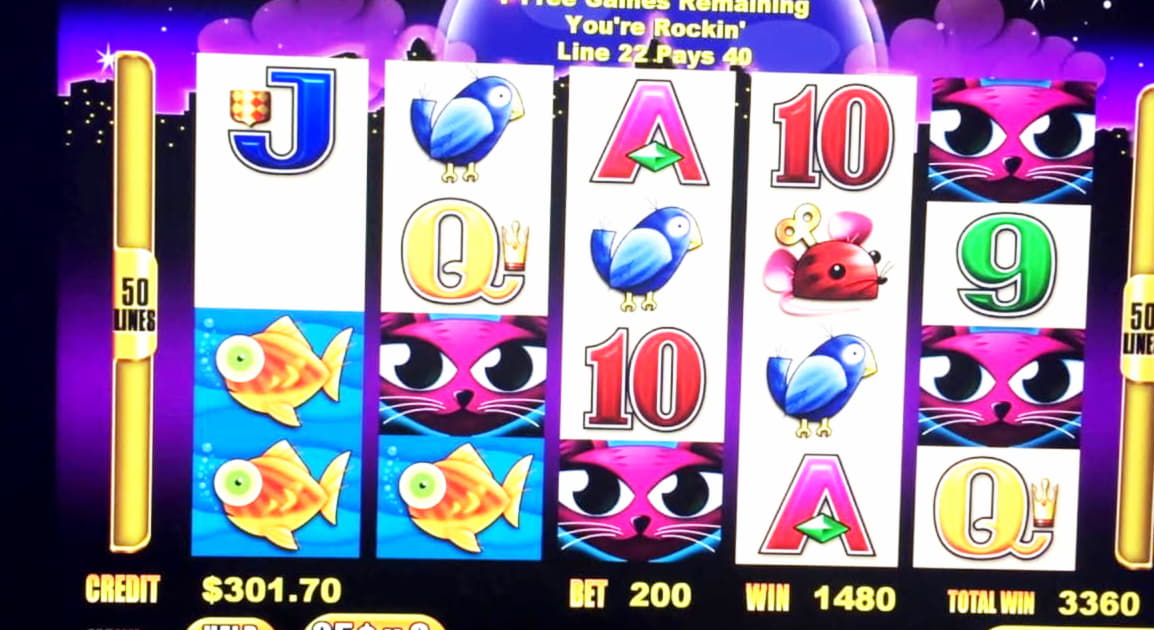 Eur 260 Daily freeroll slot tournament at Leo Vegas Casino