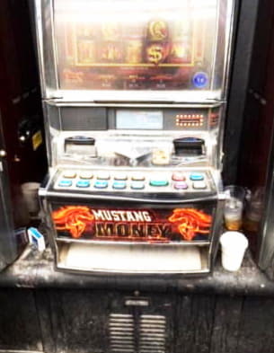 €935 Daily freeroll slot tournament at Estonia Casino 