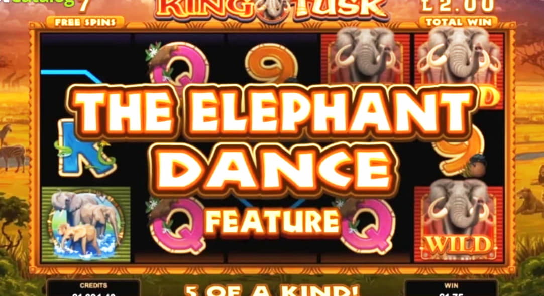 540% Best Signup Bonus Casino at Spin Palace Casino