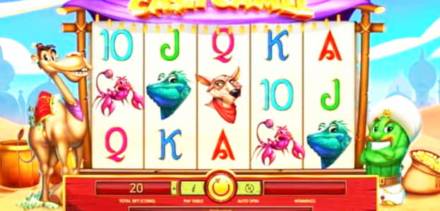 €975 No deposit at Dunder Casino