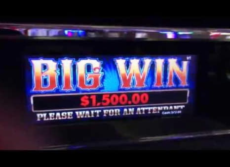 175 Trial Spins at CasiPlay Casino