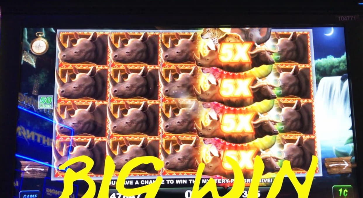 230 Loyalty Free Spins! at Casino-X