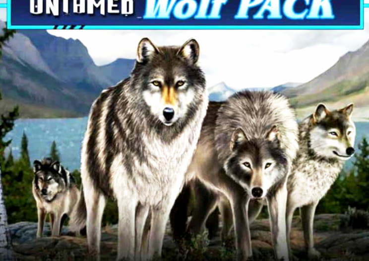 $295 FREE Chip Casino at Loki Casino