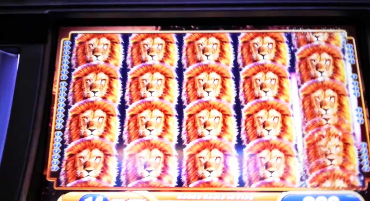 Eur 260 free chip casino at Dunder Casino