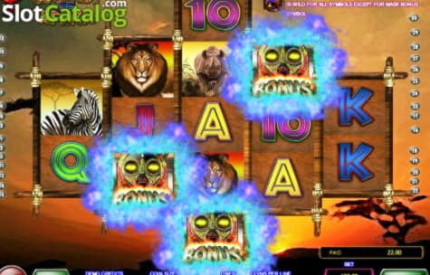 875% Match Bonus at Bet Hard Casino